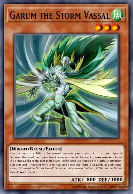 Garum the Storm Vassal